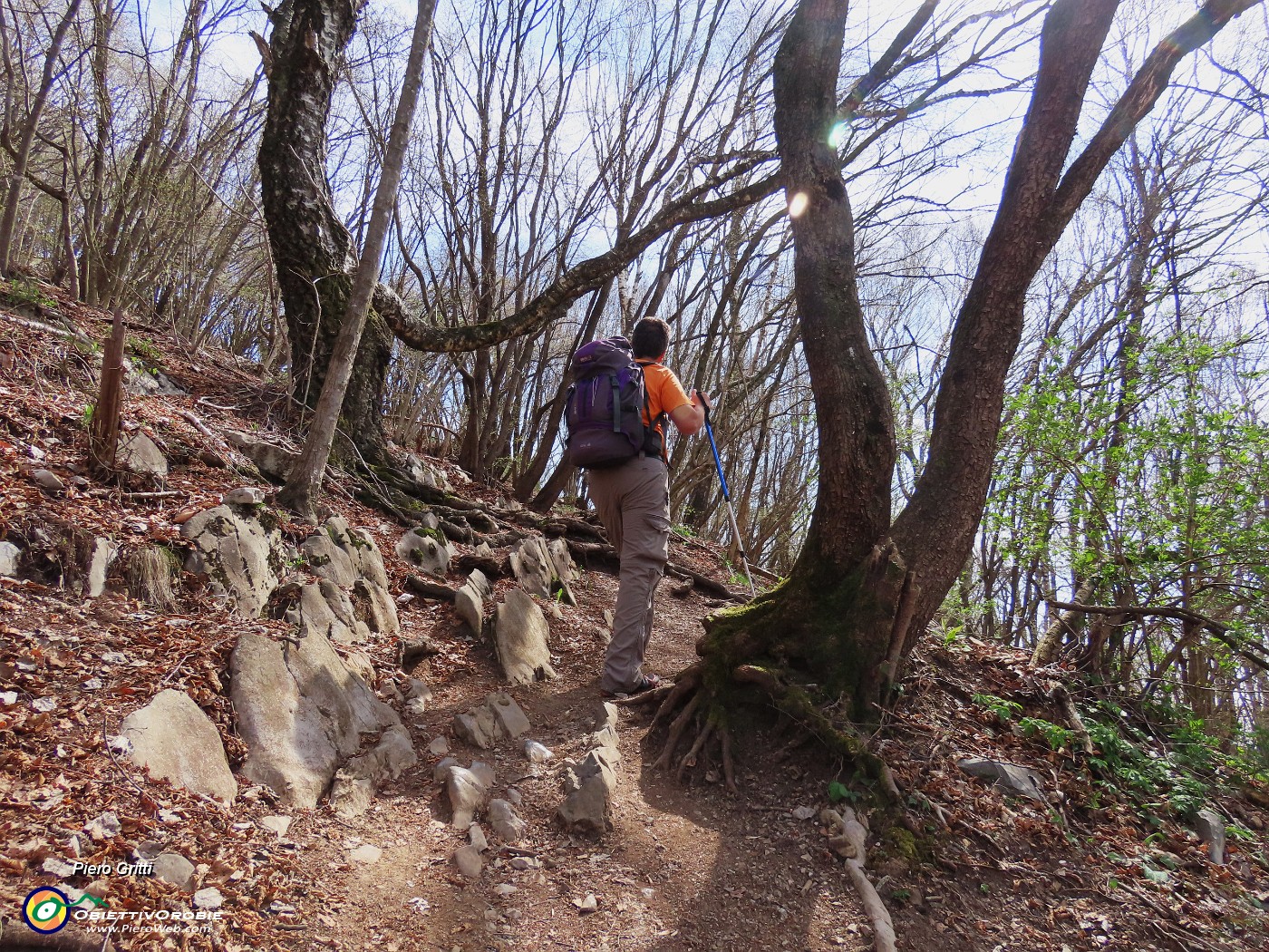 37 Camminando su rocce affioranti .JPG